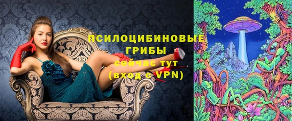 дмт Дмитриев