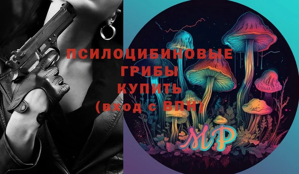 apvp Дмитров
