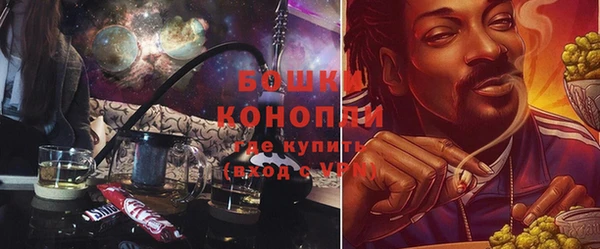 дмт Дмитриев