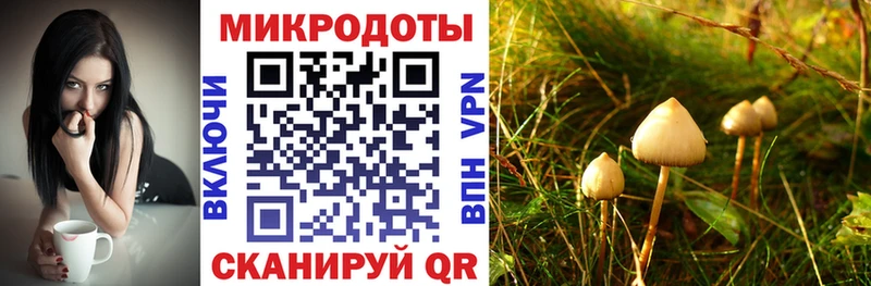 Псилоцибиновые грибы Psilocybe  купить наркотик  Сковородино 