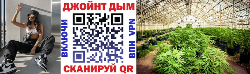 дарнет шоп  Сковородино  Конопля MAZAR 